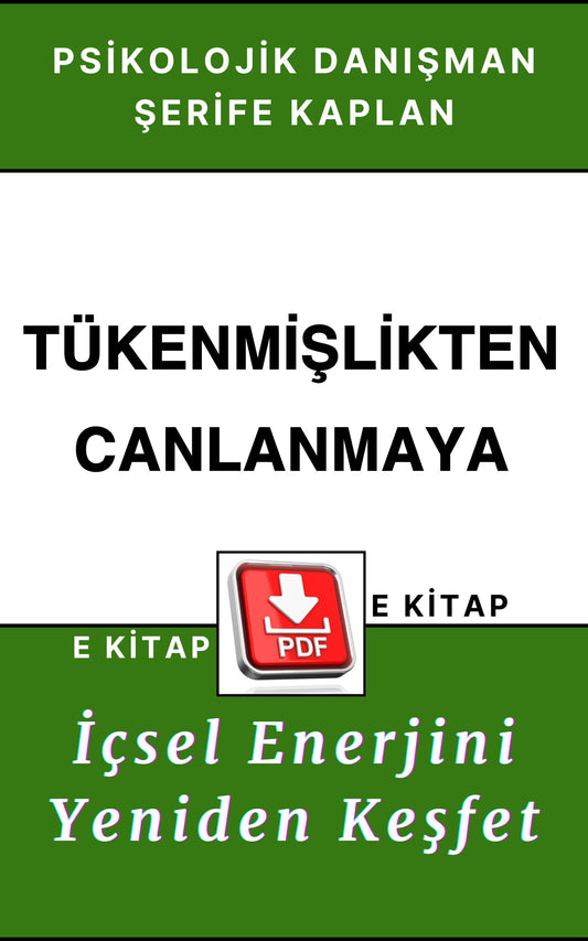 PSİKOLOJİK KİŞİSEL GELİŞİM E KİTABI – TÜKENMİŞLİKTEN CANLANMAYA: İÇSEL ENERJİNİ YENİDEN KEŞFET